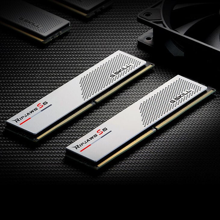 G.Skill Ripjaws S5 DDR5-5600 RAM, CL28, XMP - 64 GB Dual-Kit, weiß image number 2