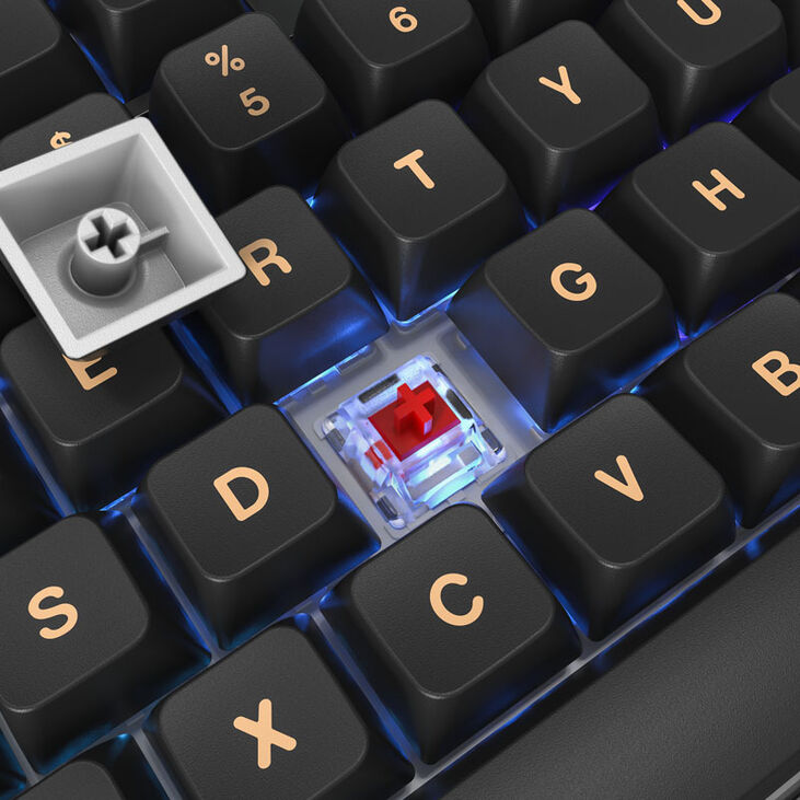 Montech MKey TKL Darkness Gaming Tastatur - GateronG Pro 2.0 Red (US) image number 3