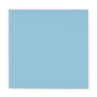 Thermal Grizzly Minus Pad Pro - 100 x 100 x 2,0 mm