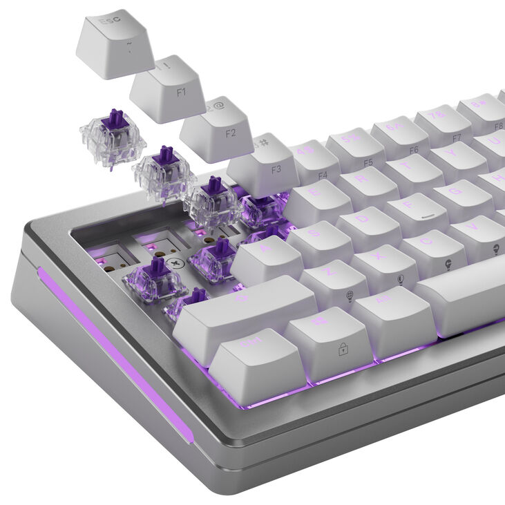 Glorious Mako Standard Switches, Mechanical, 5-Pin, Clicky, MX Stem, 45g - Lubed, 110 Pieces image number 8