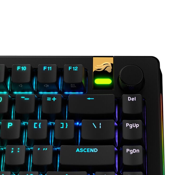 Glorious GPBT Backlit Keycaps, ANSI Layout (US), PBT, Dye-Sub - Black image number 4