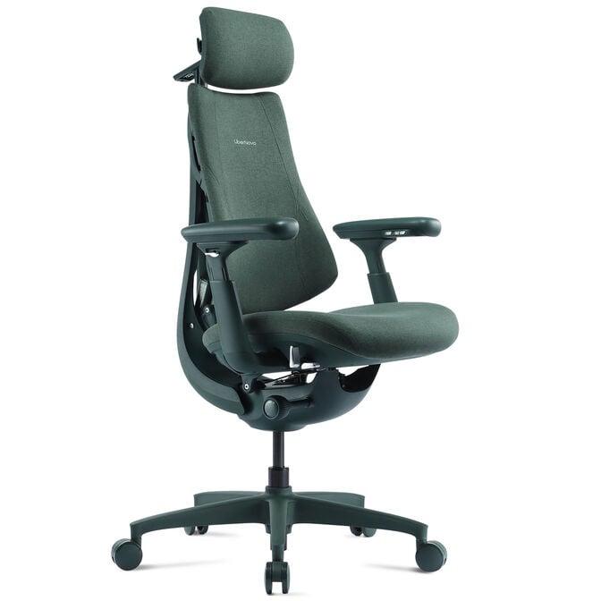 LiberNovo Omni Ergonomischer Stuhl, aktive R&uuml;ckenlehne, Massage - gr&uuml;n image number 0