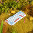 VGN V98Pro V2 Gaming Tastatur, Box Autumn - Maple Sugar Limited Edition (US) image number null