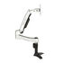 SilverStone SST-ARM11SC Single Monitorhalterung - silber image number null