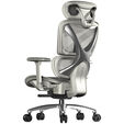 ThunderX3 XTC Ergonomischer B&uuml;rostuhl - grau image number null