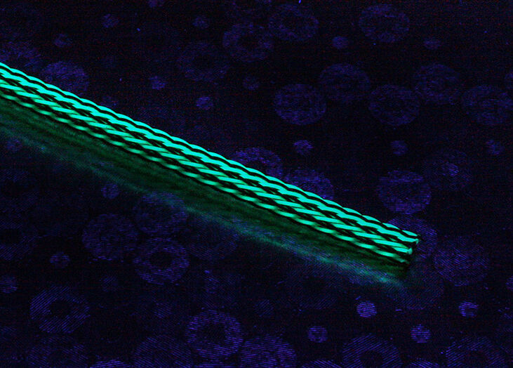 Techflex Flexo PET Sleeve 3mm - green/black, 1m image number 1
