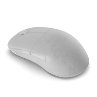 Endgame Gear XM2w 4k Wireless Gaming Mouse, Wireless &ndash; White Frost