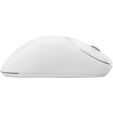 GAMIAC PA50 Gaming Mouse - white image number null