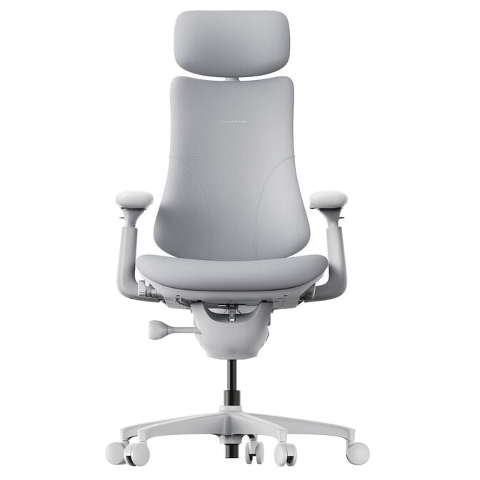 LiberNovo Omni Ergonomischer Stuhl, aktive R&uuml;ckenlehne, Massage - grau image number 1