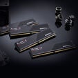 G.Skill Flare X5 DDR5-6000 RAM, CL36, EXPO - 32 GB Dual-Kit, schwarz image number null