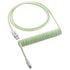 CableMod Classic Coiled Keyboard Cable USB-C zu USB Typ A, Lime Sorbet - 150cm image number null