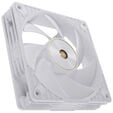 ASUS ProArt PF120 PWM Geh&auml;usel&uuml;fter, 120 mm, 3.000 U/min, Daisy-Chain - wei&szlig; image number null