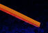 Techflex Flexo PET Sleeve 6mm - blue/red, 1m image number null