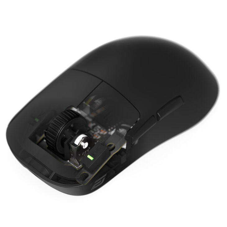 Endgame Gear OP1we Switch Pack - Kailh GO 60-65gf, 2er-Set image number 2