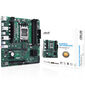 ASUS PRO B650M-CT-CSM, AMD B650 Mainboard, Sockel AM5, DDR5