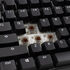 Ducky Tinker 75 Gaming Keyboard, RGB - MX-Brown (ANSI) image number null