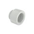 Barrow G1/4 inch extension straight MF 10 - white image number null