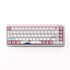 AKKO JIN 01 Tokio Gaming Keyboard - 65%, Rosewood Switches, ANSI image number null