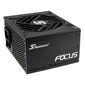 Seasonic Focus SPX 80 PLUS Platinum Netzteil, modular - 650 Watt