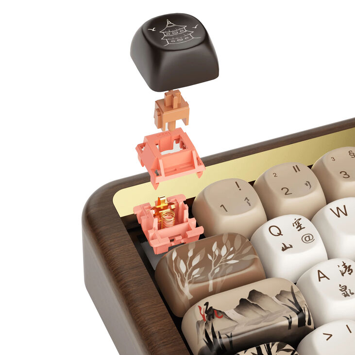AKKO MU01 Joy of Life Gaming Keyboard, RGB - Walnut Case, Rosewood Switches, ISO-DE/UK image number 6