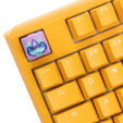 Ducky x Hotkeys Ducky League Aqua Duck image number null