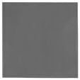Thermal Grizzly Minus Pad Extreme 2 W&auml;rmeleitpad - 100 &times; 100 &times; 1,5 mm image number null