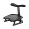 LiberNovo StepSync Footrest for Omni SE, 10&deg; Tilt, 2 Height Levels - obsidian