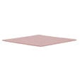 Thermal Grizzly Minus Pad 8 - 100 x 100 x 1,0mm, 2 St&uuml;ck image number null