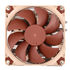 Noctua NH-L9x65 CPU-Kühler - 92mm image number null