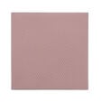 Thermal Grizzly Minus Pad 8 - 100 x 100 x 0,5mm, 2 St&uuml;ck image number null