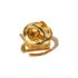 Caseking Pin - Krone - 24k image number null
