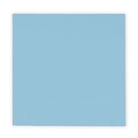 Thermal Grizzly Minus Pad Pro - 100 x 100 x 1,5 mm