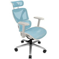 ThunderX3 XTC Ergonomischer B&uuml;rostuhl - wei&szlig;/blau
