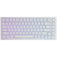 Glorious GMMK Pro White Ice 75% TKL Tastatur - Barebone, ANSI-Layout, silber image number null