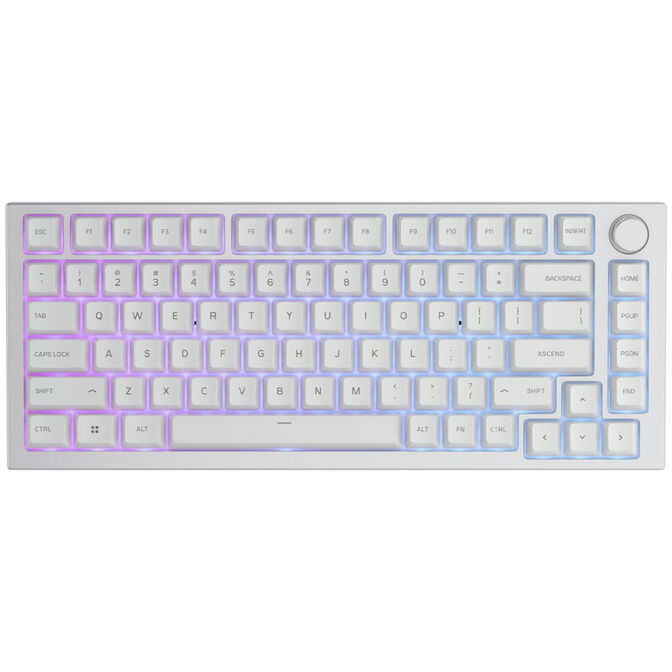 Glorious GMMK Pro White Ice 75% TKL Tastatur - Barebone, ANSI-Layout, silber image number 1
