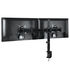 Arctic Monitorhalterung Z2 Basic - schwarz image number null