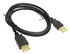 InLine USB 2.0 Verlängerung, vergoldete Kontakte - 1m image number null