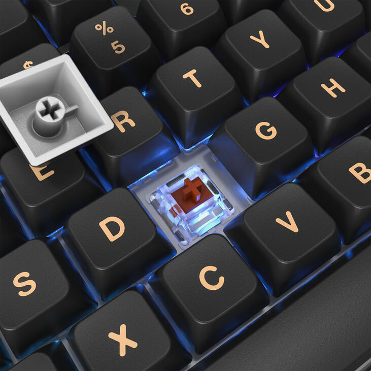 Montech MKey TKL Darkness Gaming Tastatur - GateronG Pro 2.0 Brown (US) image number 3