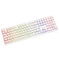 Ducky Zero 6108 Pure White Kabellose Gaming Tastatur, RGB - Cherry MX2A Blue, ISO (DE)