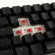 Ducky One 2 Mini Gaming Tastatur, MX-Silent-Red, RGB-LED, schwarz image number null