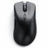 Glorious Model D 2 PRO Wireless, 4K/8K Polling - schwarz image number null