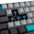 Ducky Miya Pro Moonlight TKL Gaming Keyboard for PC/Mac, MX-Blue, white LED - dark grey image number null