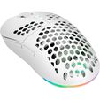 GAMIAC PX71 Wireless Gaming Mouse - white image number null