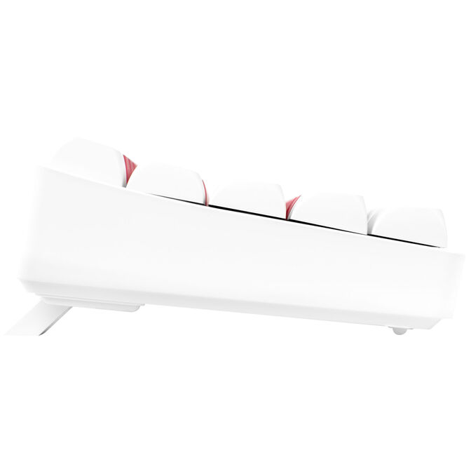 GAMIAC TKL69G SF Gaming Keyboard, Kailh Blue Switches, RGB - white/red image number 4