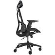 ASUS ROG Destrier Ergo Core Gamingstuhl - schwarz image number null