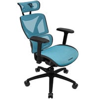 ThunderX3 XTC Ergonomic Office Chair - black/blue