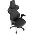 noblechairs DAWN TX Gaming Chair - Granite image number null
