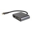Akasa USB Typ C 2-In-1 Display-Adapter - silber image number null