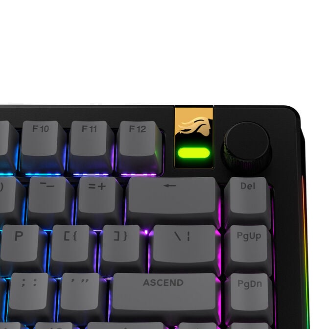 Glorious GPBT Basics Keycaps, ANSI Layout (US), PBT, Doubleshot - Armor Grey image number 4