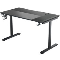 ThunderX3 LAB-X Lite Gaming-Tisch - schwarz